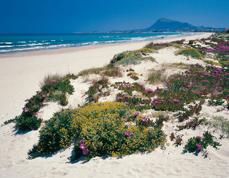 Plage en Éspagne